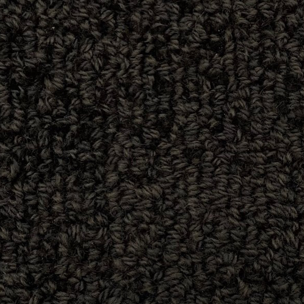 Wool-Dark Roast