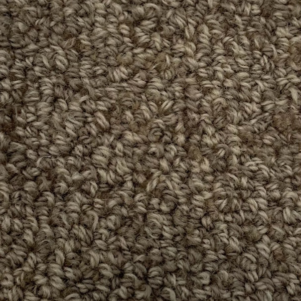 Wool-Walnut