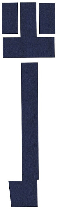 Beechcraft B300 King Air 350 Floor Mats