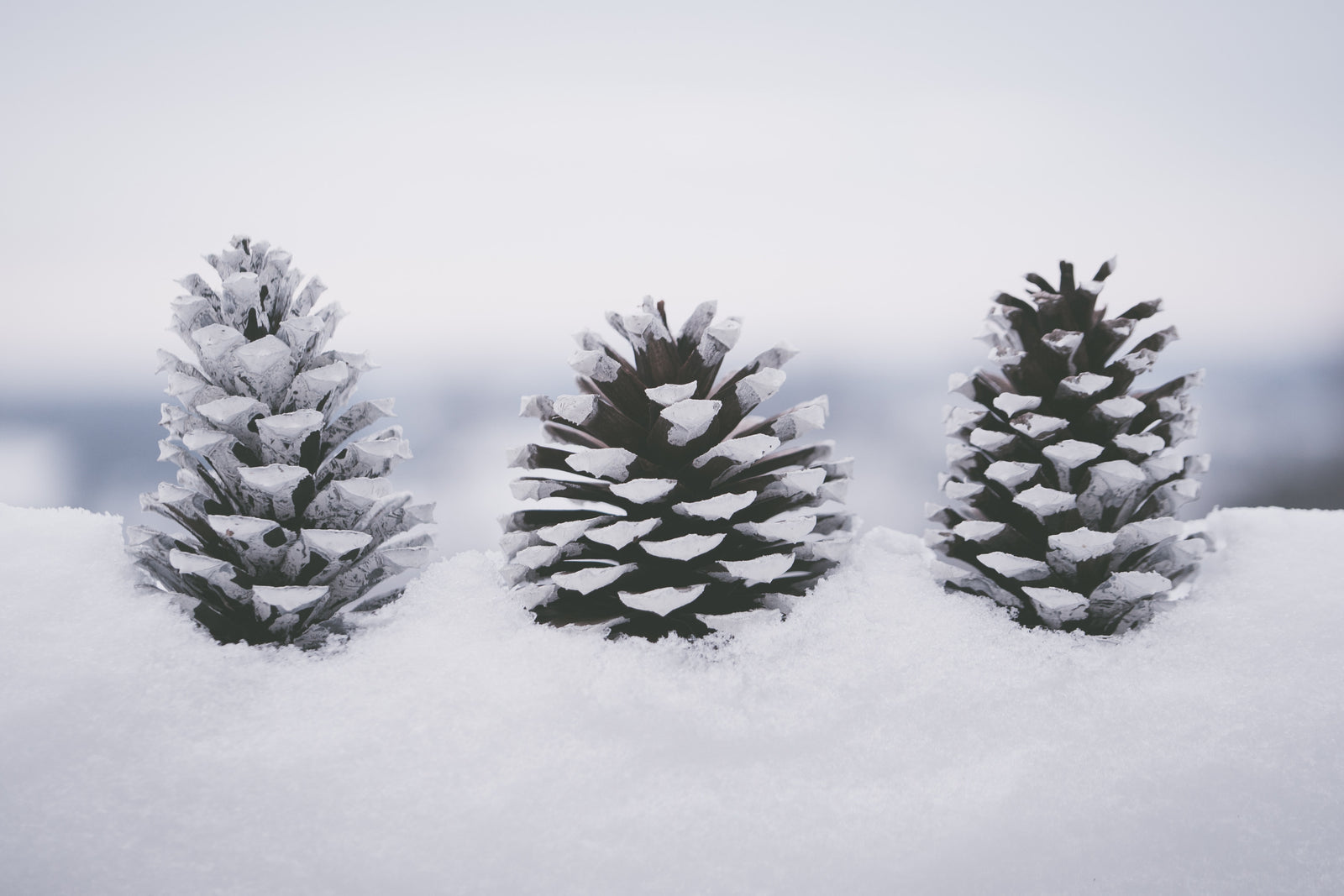 Holiday Closing Announcement