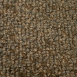 Wool-Acorn